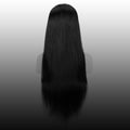 Luxury Extra Length Straight Wigs 13x4